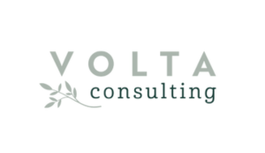 Volta-Consulting
